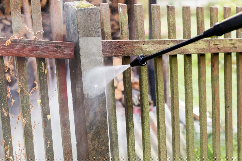 Iron Fence Cleaning