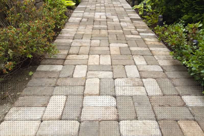 Paver Walkway Cleaning