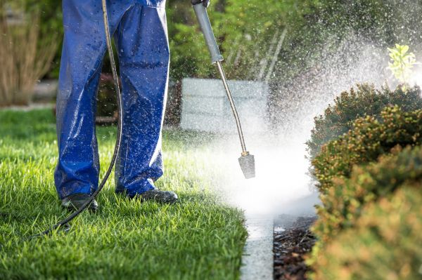 Curb Cleaning in Crystal Lake