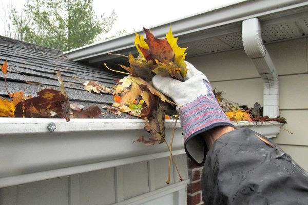 Eaves Cleaning in Crystal Lake